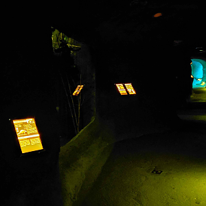 Nocturnal section - lights off