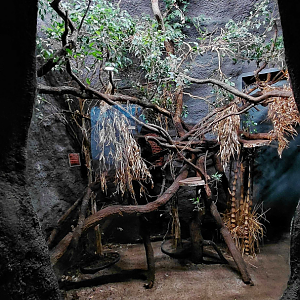 Cuscus exhibit - lights on