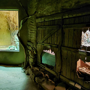 Inside the Africa Up Close house