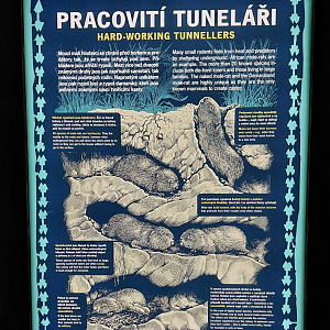 Example of educational sign