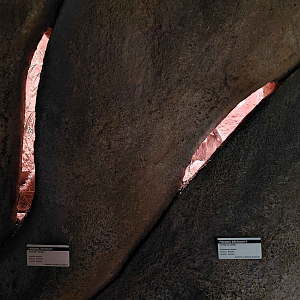 View at the small rodent exhibits