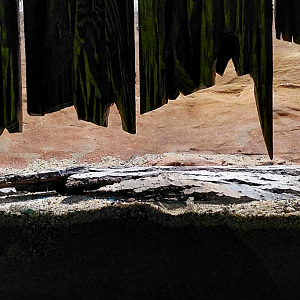 Kenya sand boa exhibit