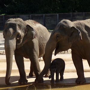 Rudy, Sunny and Rita