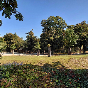 Burmese brow-antlered deer exhibit