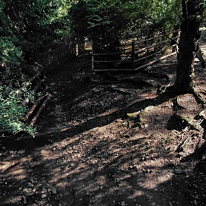 Finnish forest reindeer exhibit