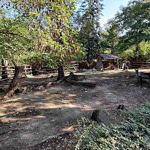 Finnish forest reindeer exhibit