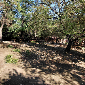 Finnish forest reindeer exhibit