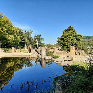 Asian elephant outdoor exhibit