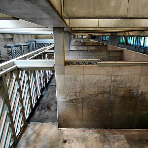 Asian elephant indoor exhibit