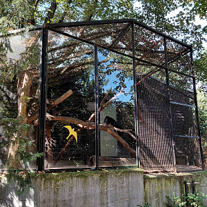 Tayra outdoor exhibit