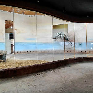 Giraffe + zebra indoor exhibit