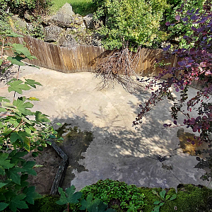 Aardvark + dikdik outdoor exhibit