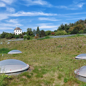 Dja - roof of the pavilion