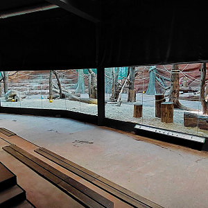 Dja - gorilla indoor exhibit