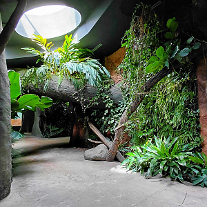 Inside the Dja pavilion