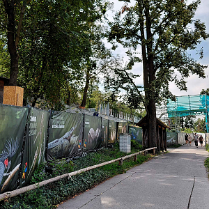 Construction of Arktida