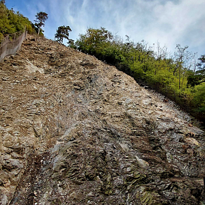 Himalayan tahr exhibit