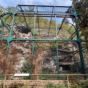 Vulture aviary