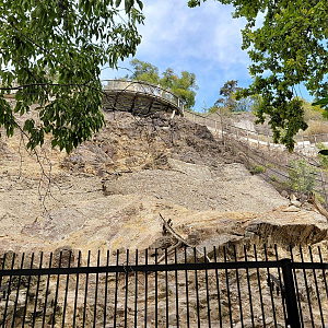 Barbary sheep + Barbary macaque exhibit