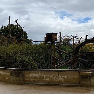 Red Panda enclosure, CWP