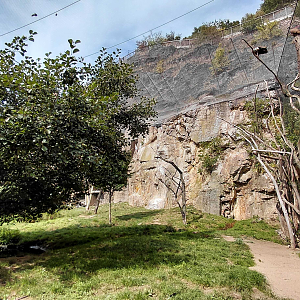 African rocks walkthrough aviary