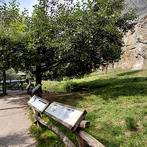 African rocks walkthrough aviary