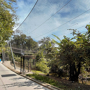Asian lagoon walk in aviary