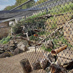 Rákos's house - Kea aviary