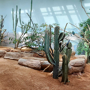 Rákos' house - Caatinga aviary