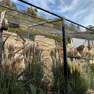 Rákos' house - Patagonian walkthrough aviary