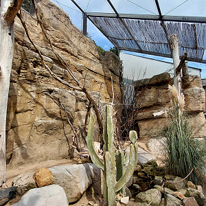 Rákos' house - Patagonian walkthrough aviary