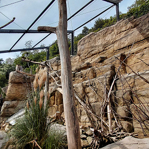 Rákos' house - Patagonian walkthrough aviary