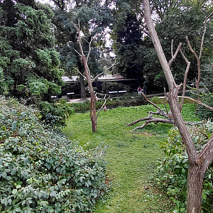 Ring-tailed lemur walkthrough exhibit