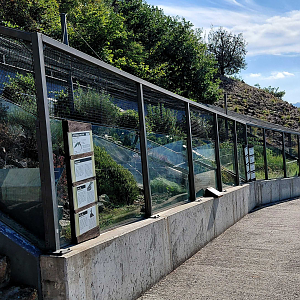Zakázanka - Native reptiles exhibit