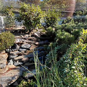 Zakázanka - Sand lizard + smooth snake exhibit