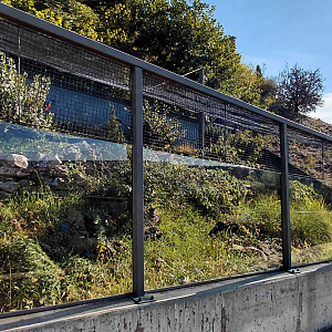 Zakázanka - native reptiles exhibit