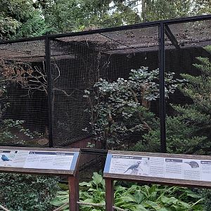 Pheasantry - Starling + Coleto exhibits