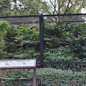 Pheasantry - Laughingthrush + hornbill exhibits