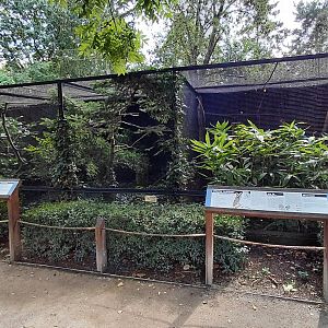 Pheasantry - hornbill + owl exhibits