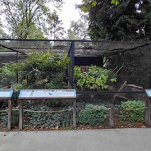 Pheasantry - Hornbill exhibits