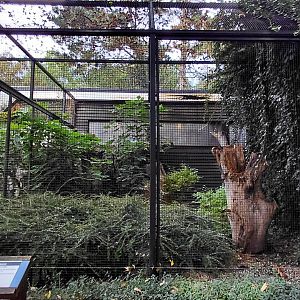 Pheasantry - Great hornbill exhibit