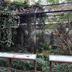 Pheasantry - Mixed aviary