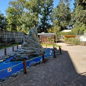 Lord Howe Island stick insect exhibit