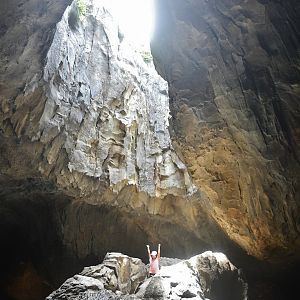 Rainforest Wild Asia - Oculus