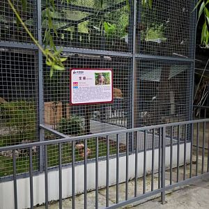 Golden cat new enclosure (photo by YuLiu)