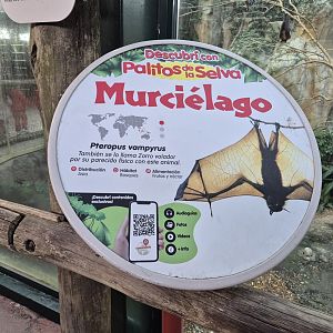 Large flying fox Sign