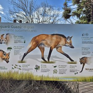 Maned Wolf sign