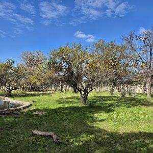 Lowland Tapir/Magouri Stork exhibit