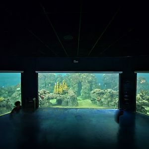 Aquarium