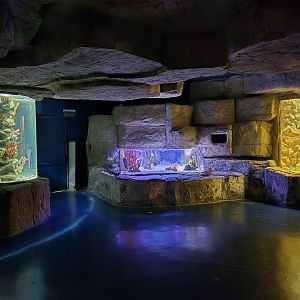 Aquarium